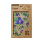 Stoffaufkleber - Fabric Transfer Sticker - Fruits
