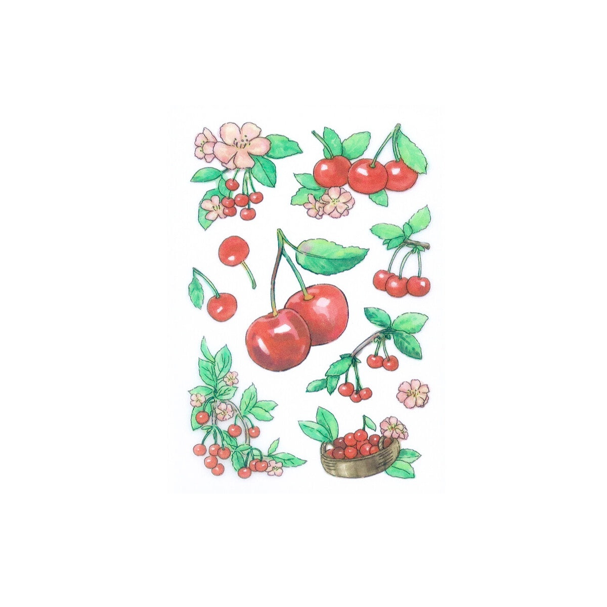 Stoffaufkleber - Fabric Transfer Sticker - Fruits