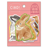 Flockensticker - CIAO!