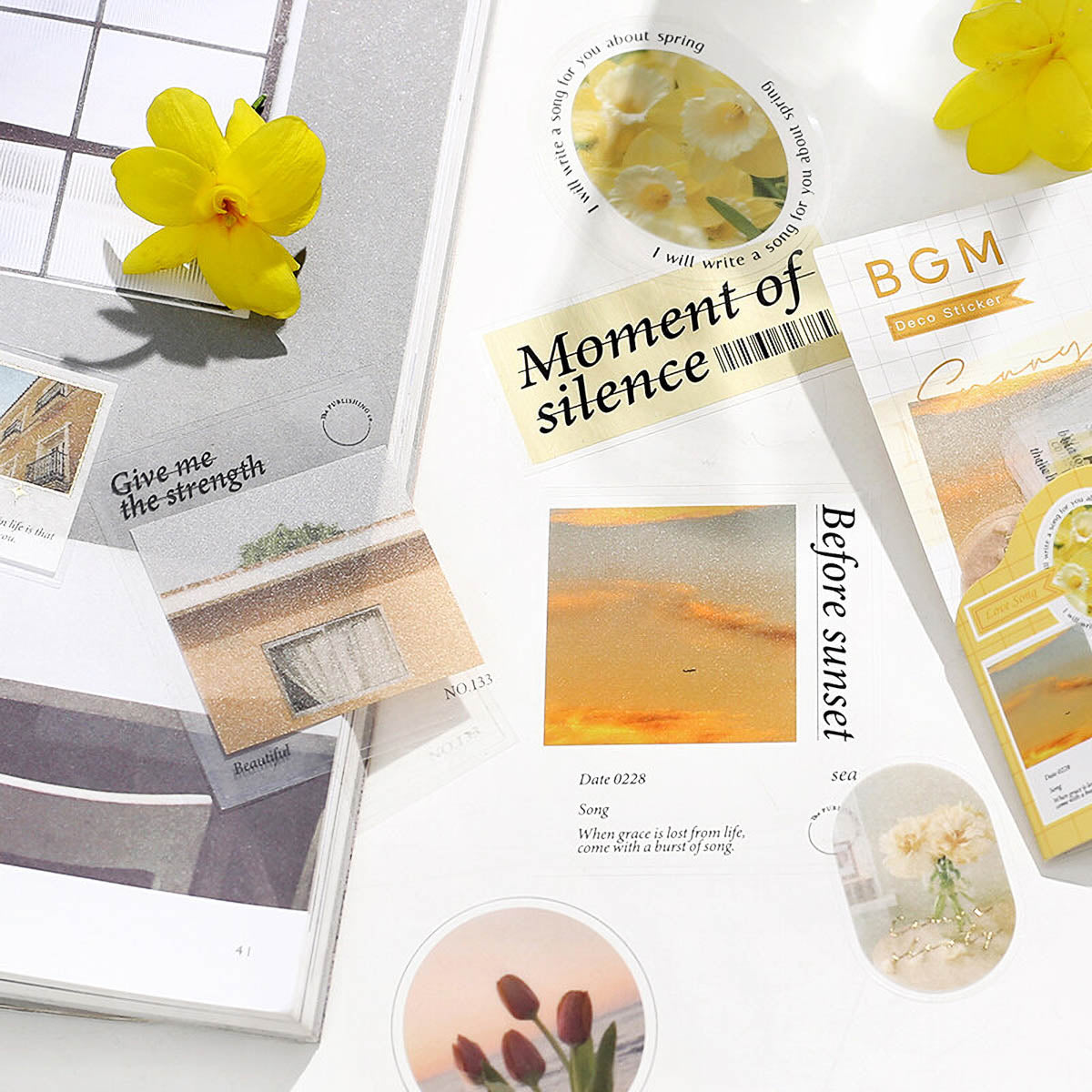 Flockensticker - BGM - Photo