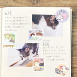 Flockensticker - Nekorobi