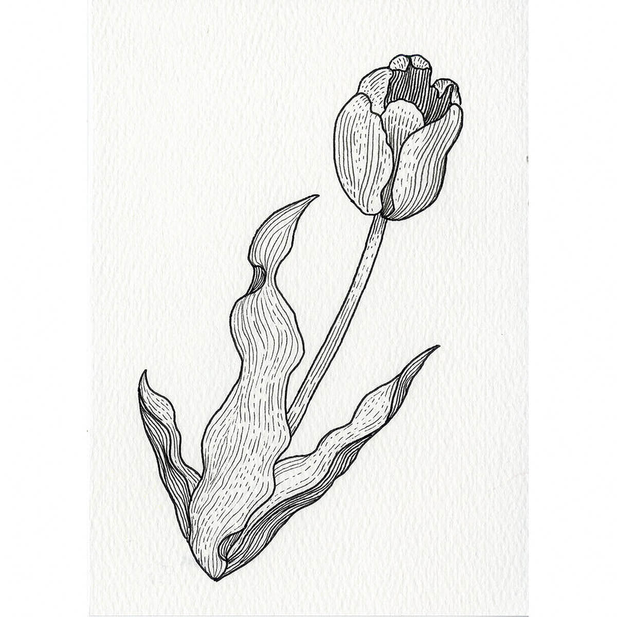 Filzstift - Kuretake - ZIG - Cartoonist MANGAKA - Schwarz