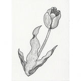 Filzstift - Kuretake - ZIG - Cartoonist MANGAKA - Schwarz