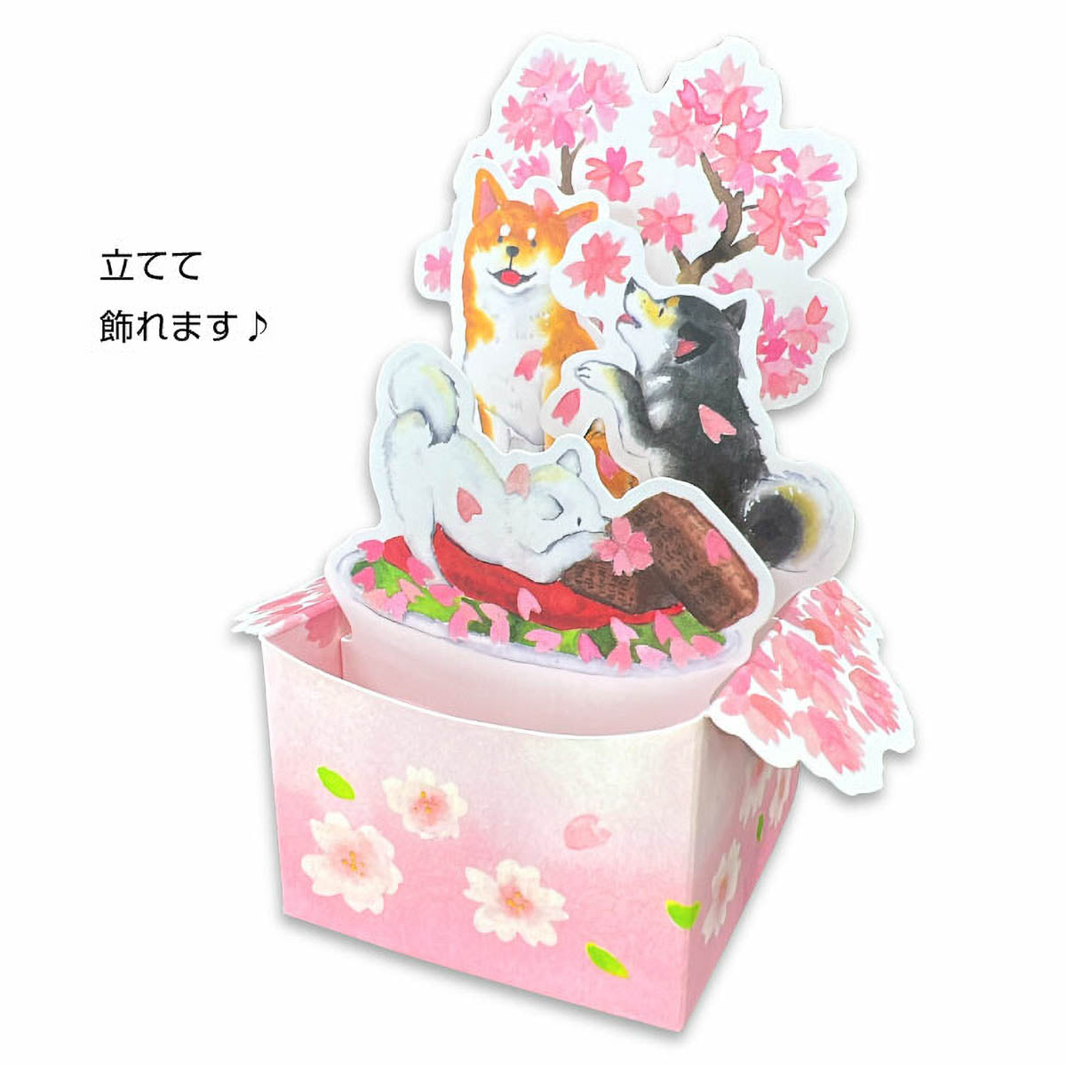 Grußkarte - 3D Card - Shiba and Spring