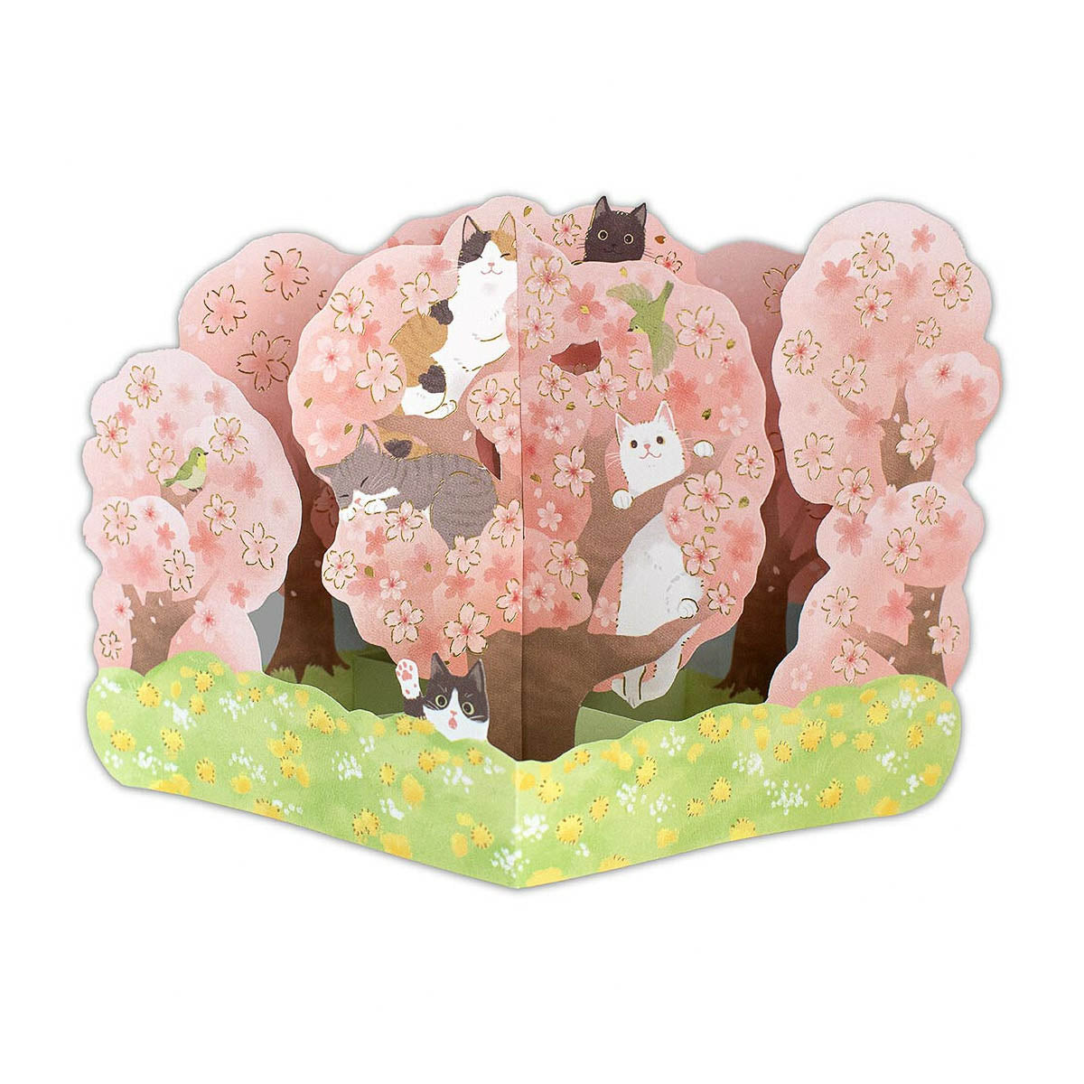 Grußkarte - 3D Card - Sakura