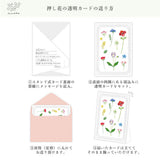 Grußkarte - Somokka - Pressed Flowers - Stand up Card