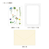 Grußkarte - Somokka - Pressed Flowers - Stand up Card