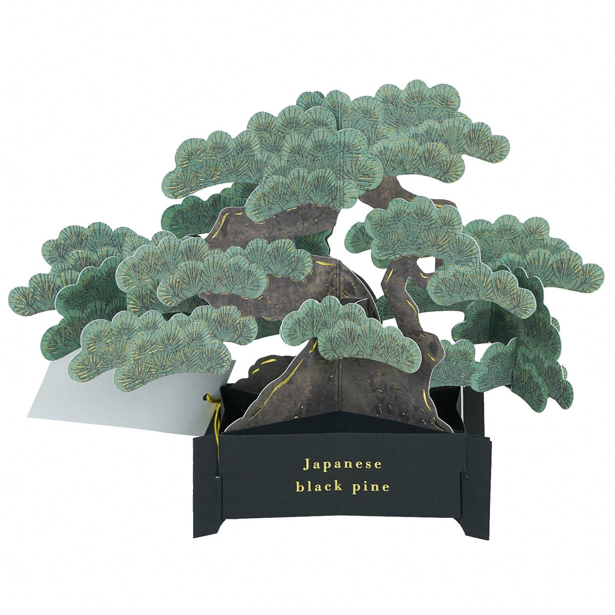 Grußkarte - Bonsai