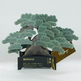 Grußkarte - Bonsai