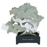 Grußkarte - Bonsai