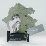 Grußkarte - Bonsai