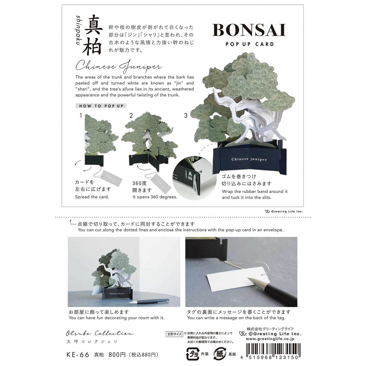 Grußkarte - Bonsai
