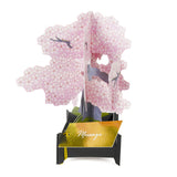 Grußkarte - Bonsai
