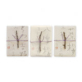 Incense - Sakura - Paulownia Box