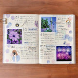 Journalsticker - Pine Book - Clear Sticker - Gold Line Drawings