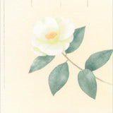 Briefpapier - Notepad - Winter - 5th Collection - 2025