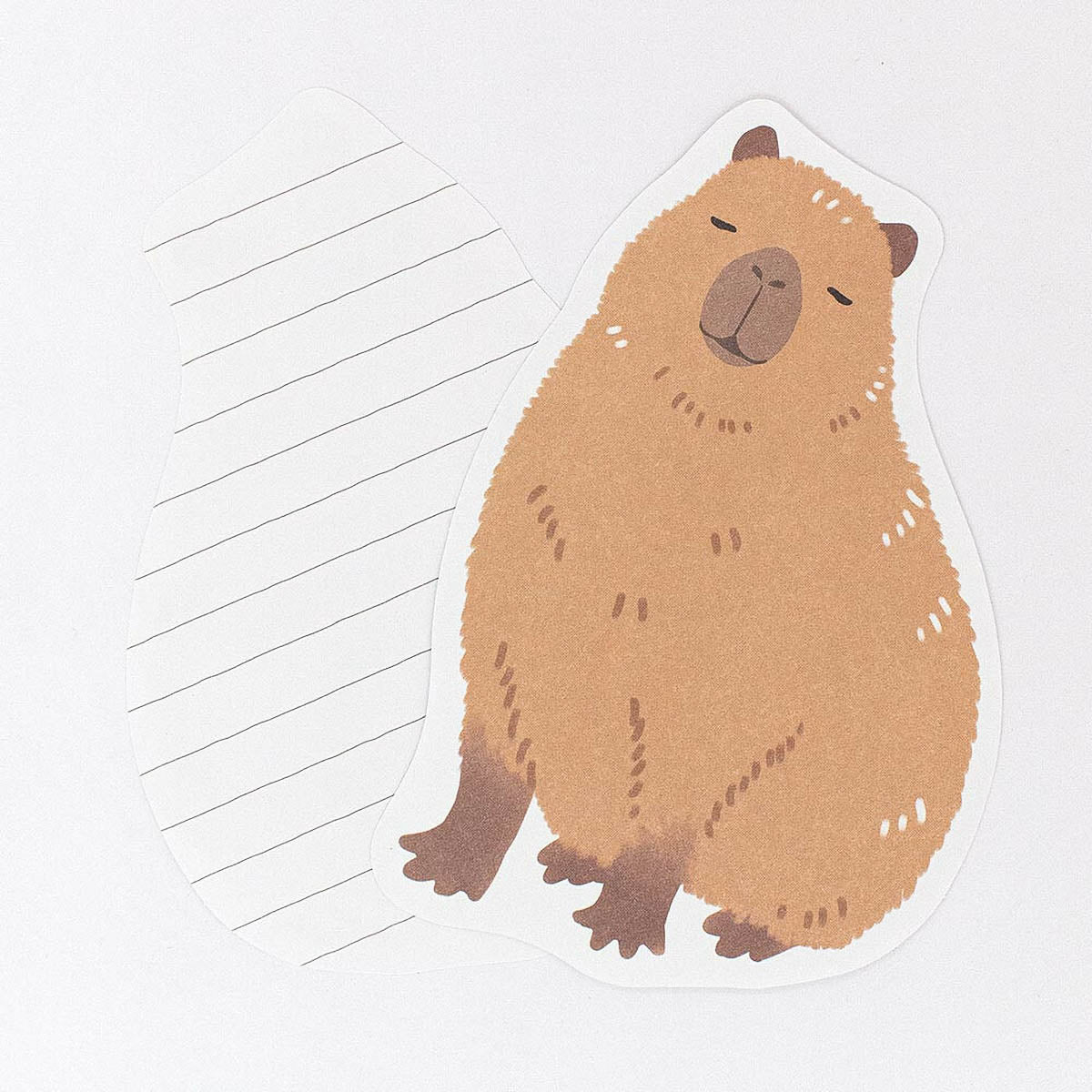 Briefpapier-Set - ZOOm In Animals
