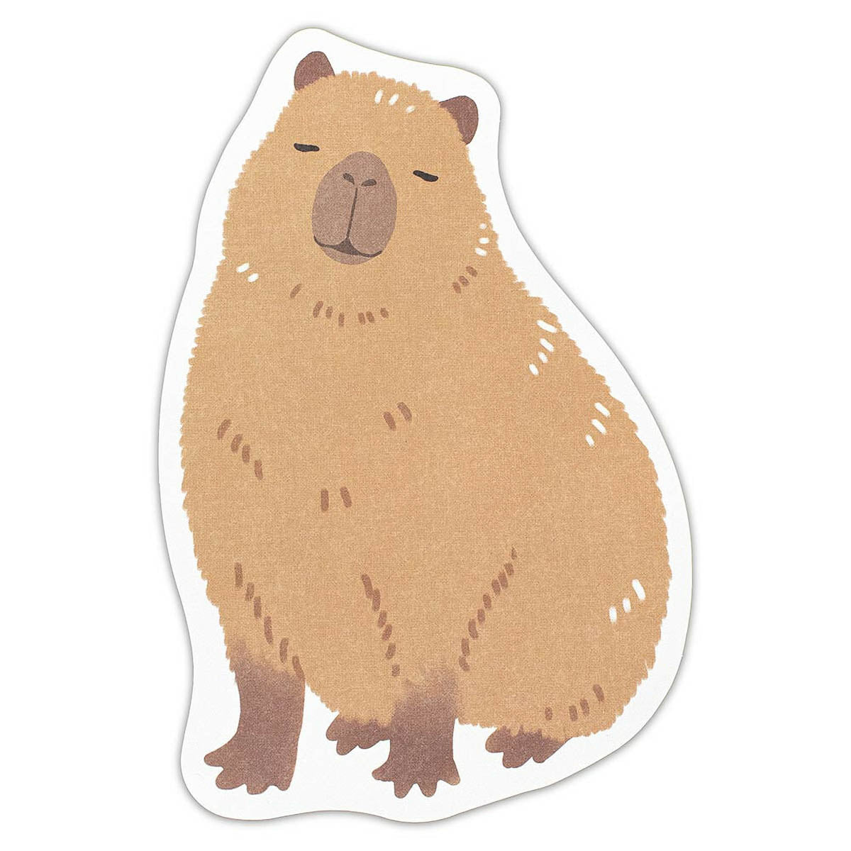 Briefpapier-Set - ZOOm In Animals