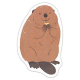 Briefpapier-Set - ZOOm In Animals