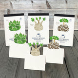 Notizblock - Die Cut Message Cards - Plants