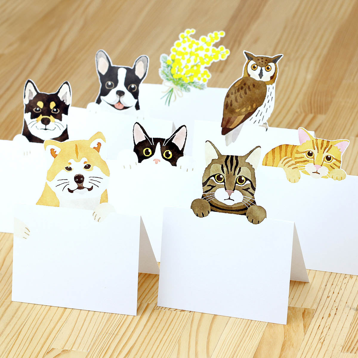 Notizblock - Die Cut Message Cards - Animals