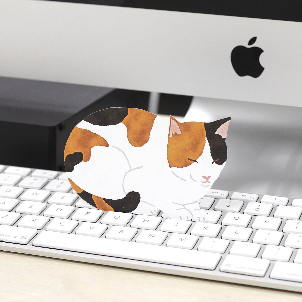Notizblock - Detach Memo - Cat