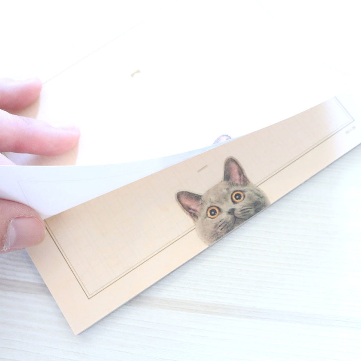 Notizblock - Tokotoko Circus - Cats