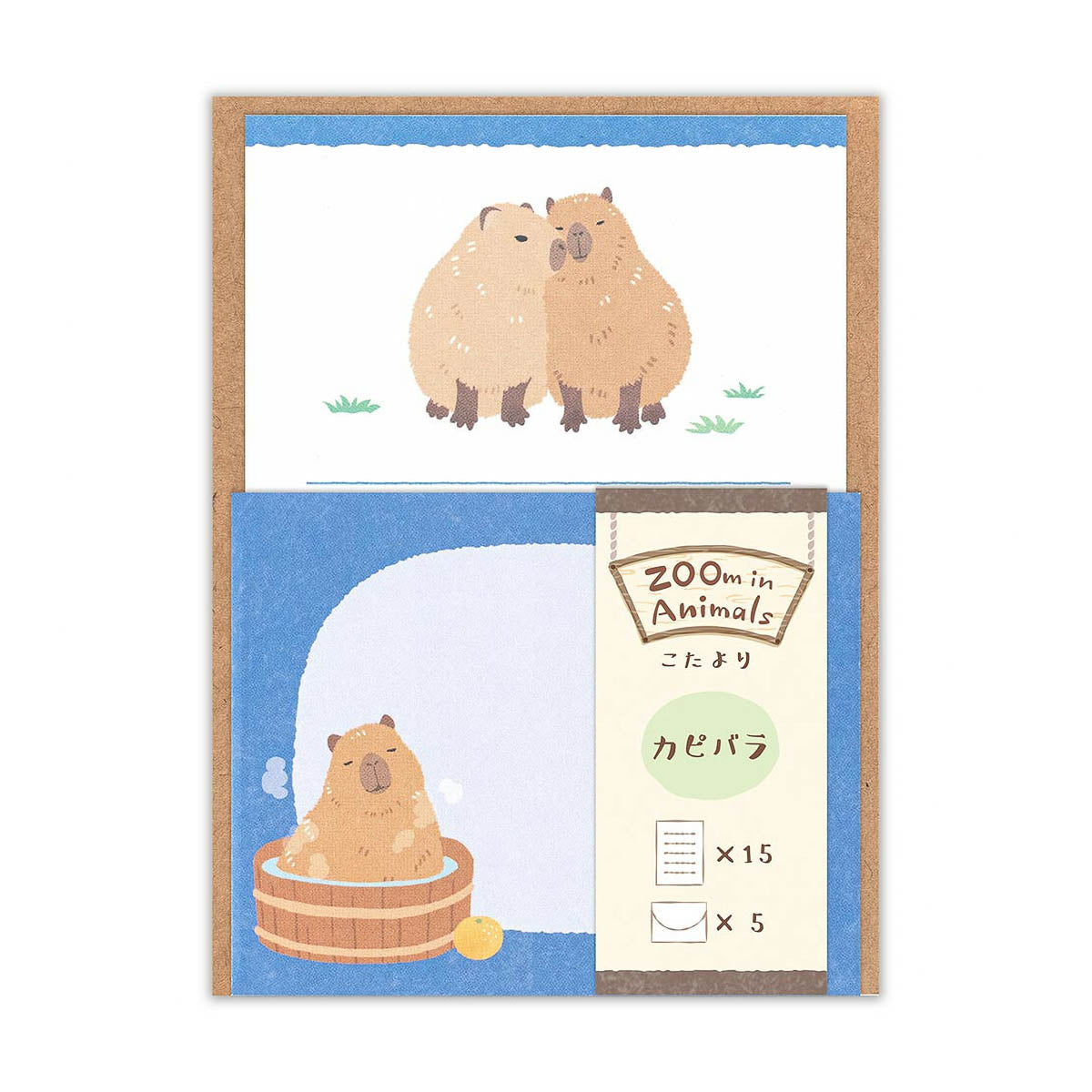 Mini-Brief - ZOOm in Animals - Mini-Brief