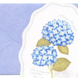 Mini-Brief - Botanical