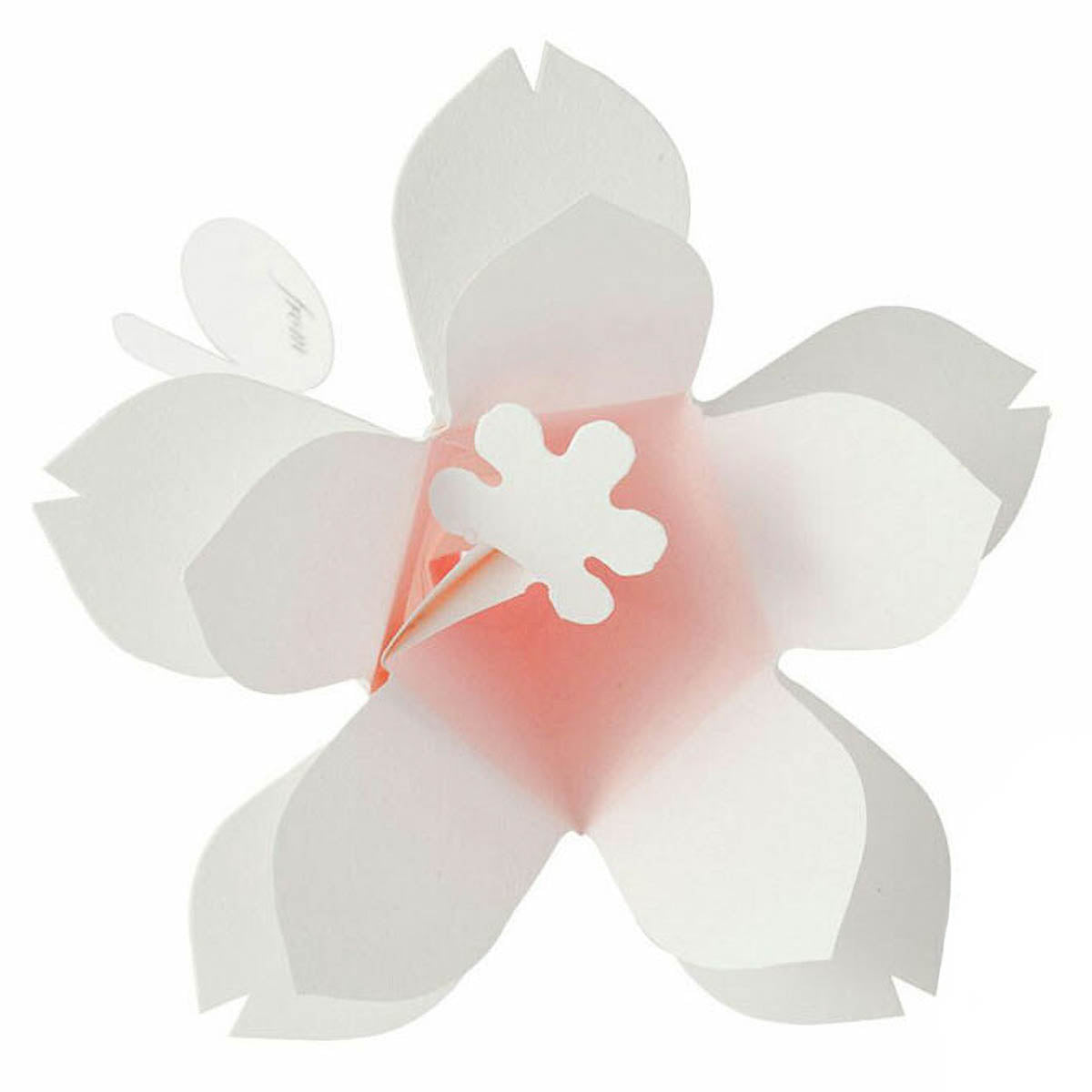 Message Card - Hana-Kotoba
