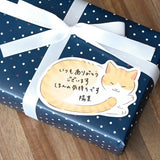 Message Card - Fluffy Animals