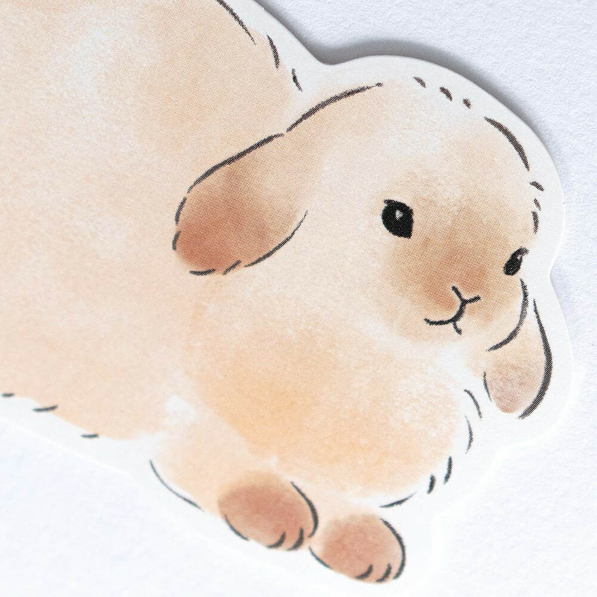 Message Card - Fluffy Animals