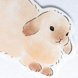 Message Card - Fluffy Animals