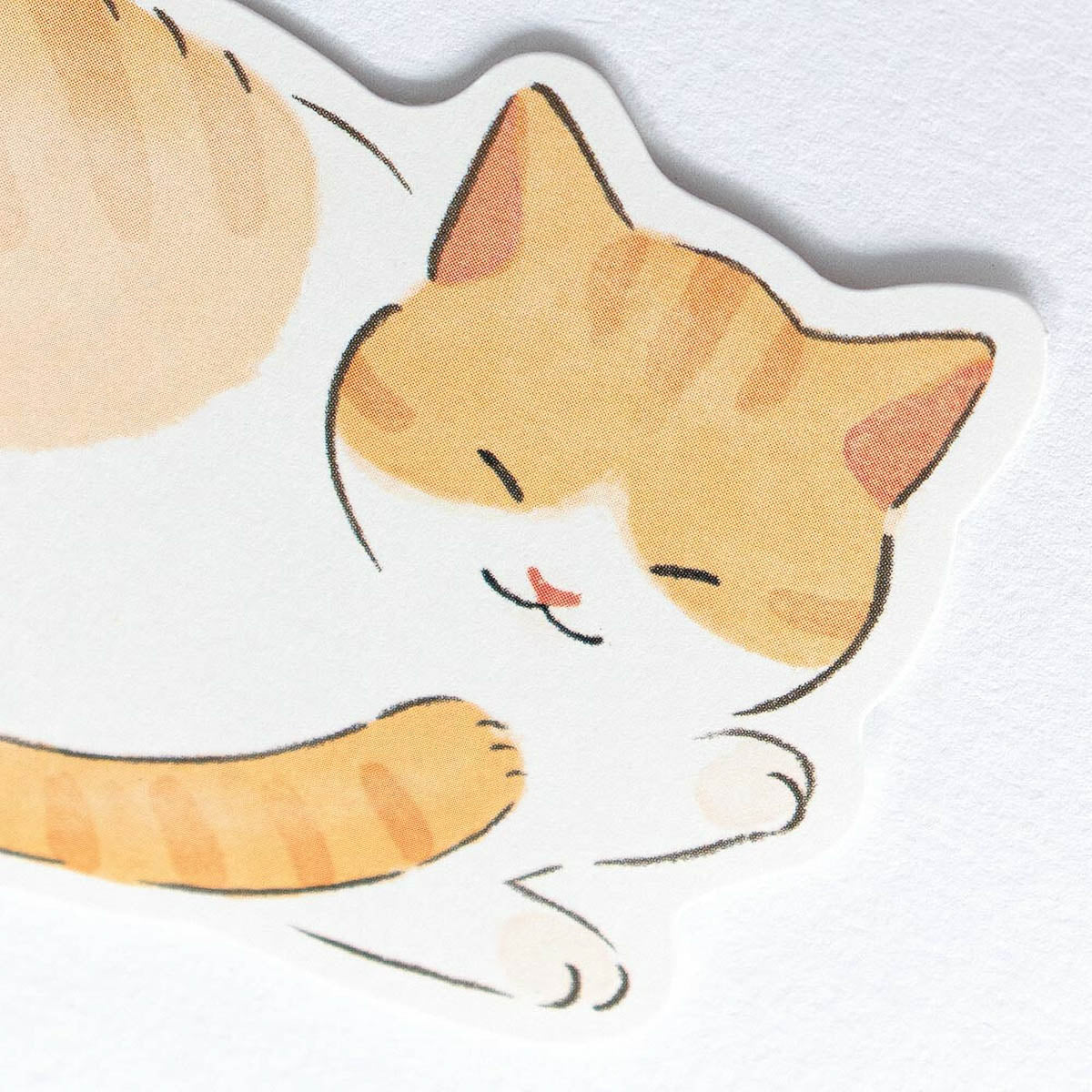 Message Card - Fluffy Animals