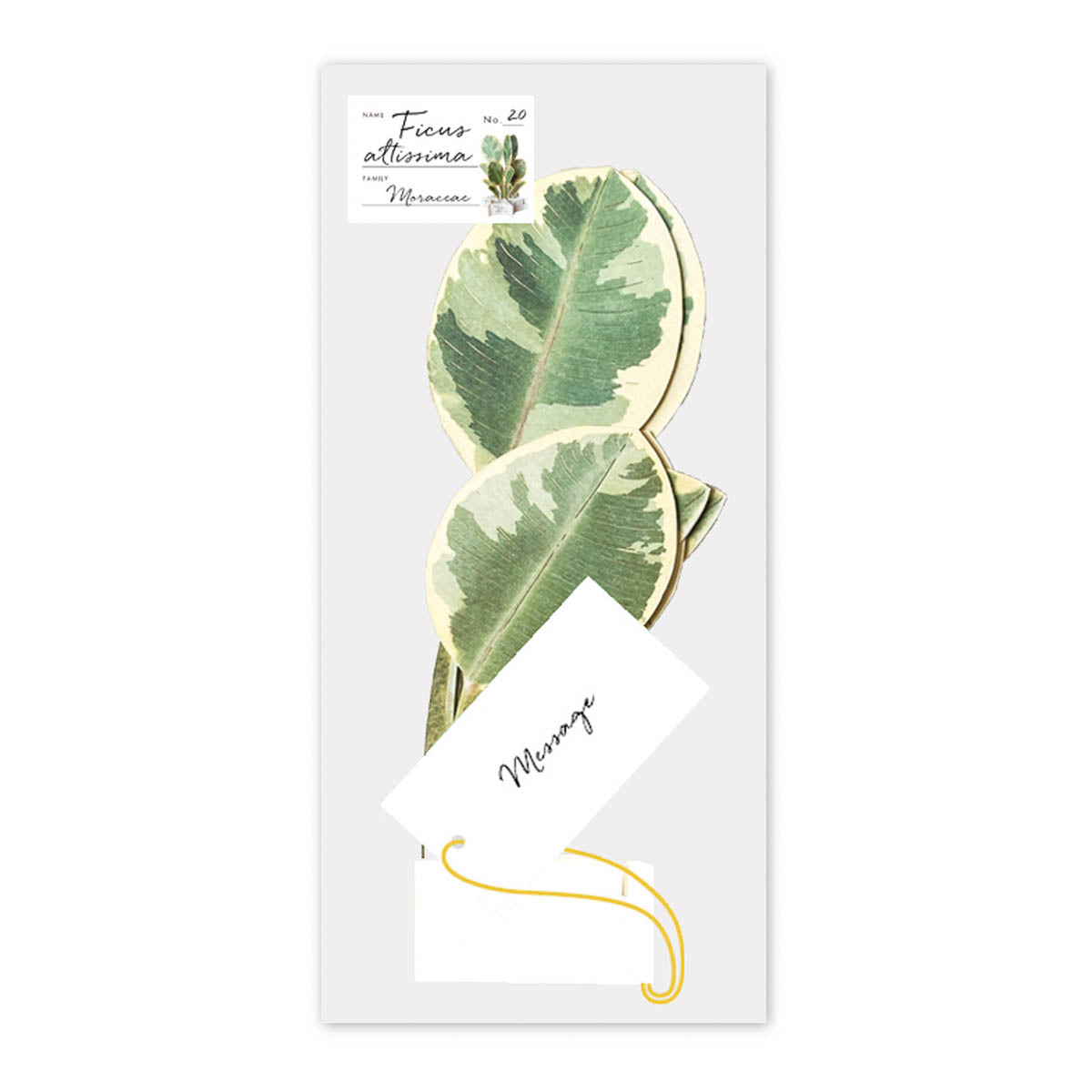 Message Card - Blumenstrauß - Groß