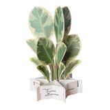 Message Card - Blumenstrauß - Groß