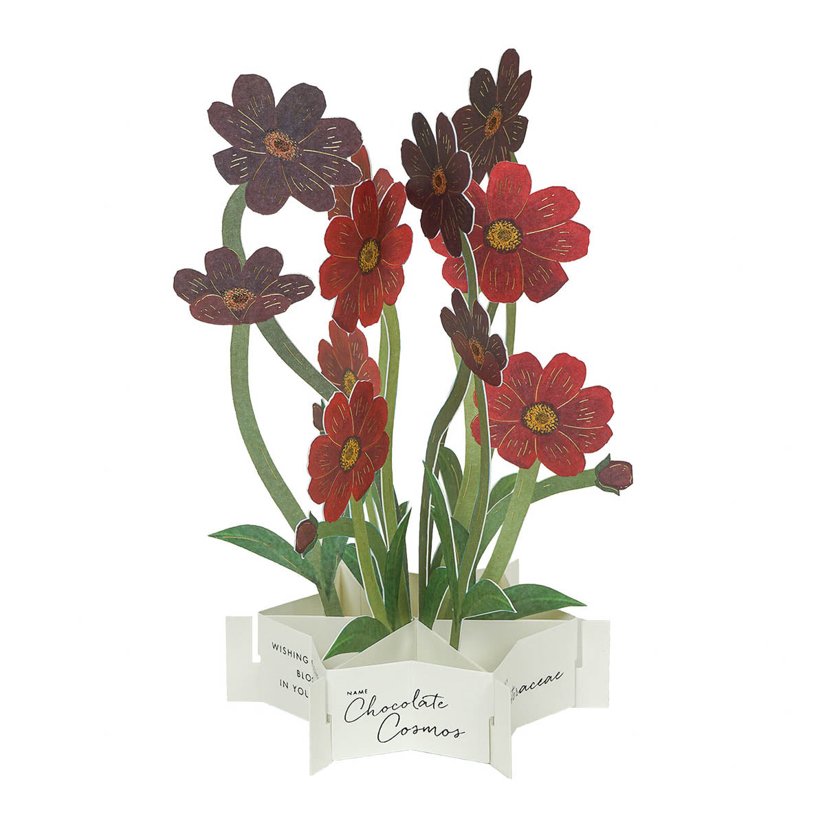 Message Card - Blumenstrauß - Groß