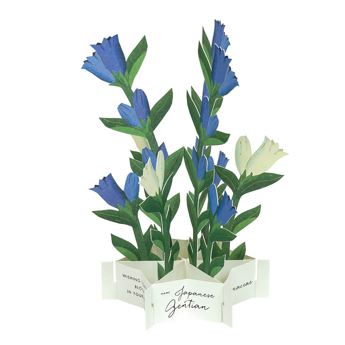 Message Card - Blumenstrauß - Groß
