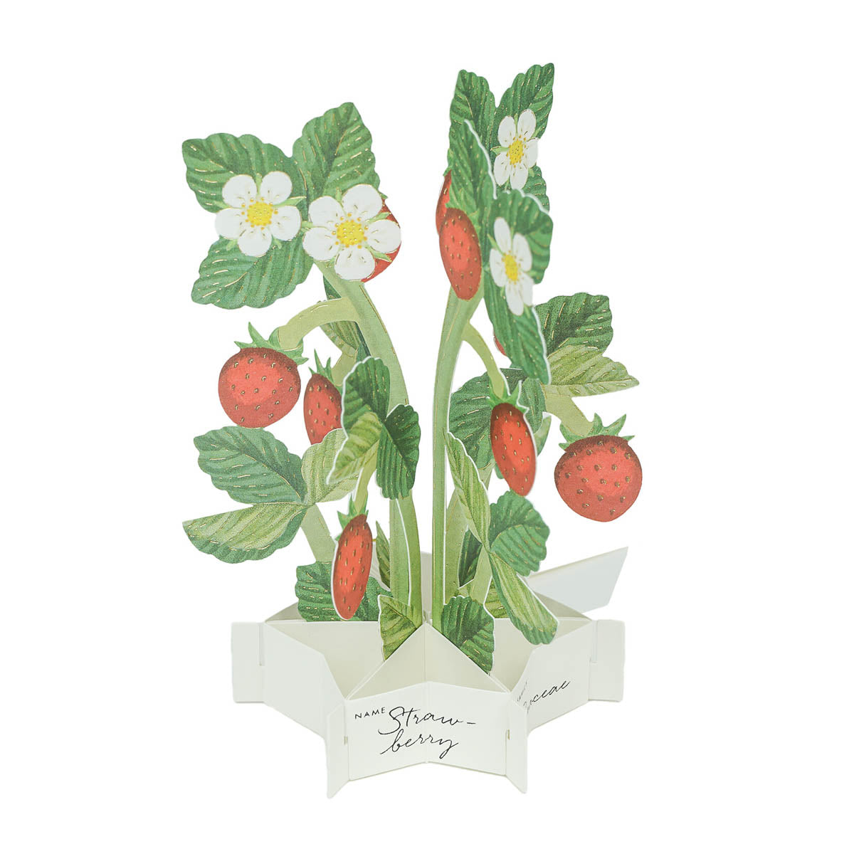 Message Card - Blumenstrauß - klein
