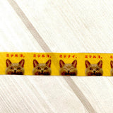 Masking Tape - Tocotoco Circus - Cats - Serie 1