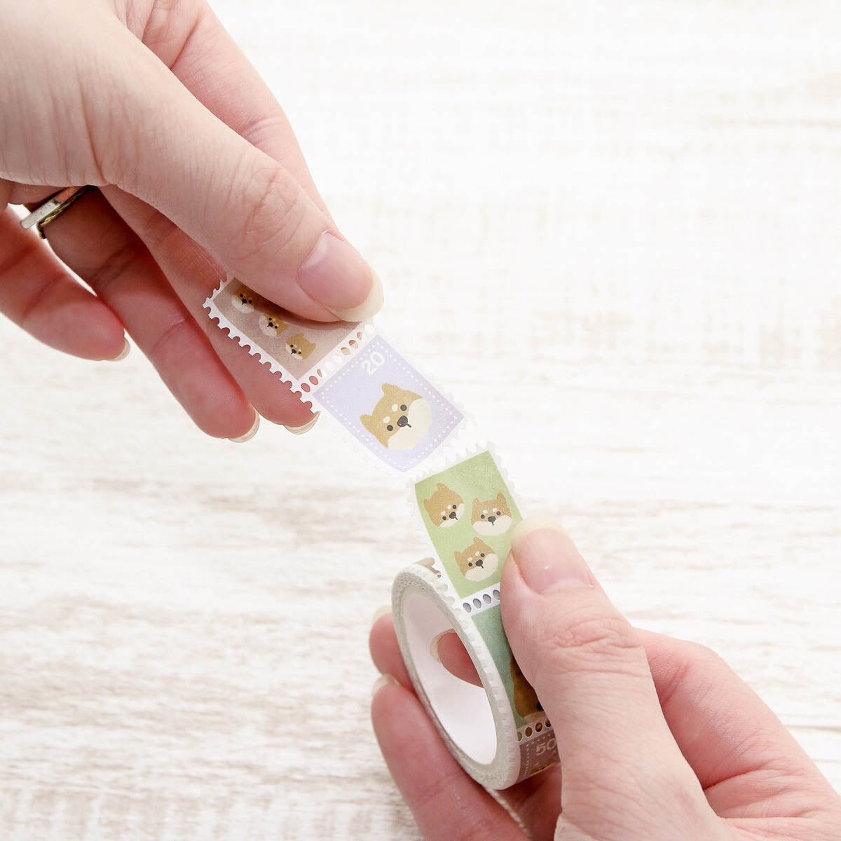 Masking Tape - Trio