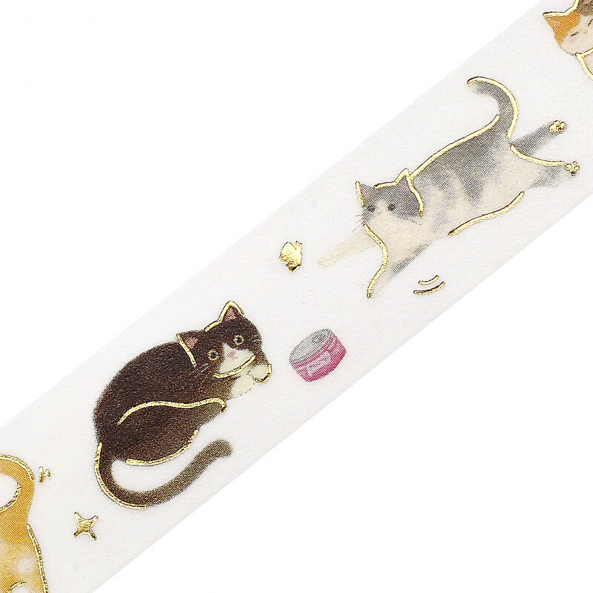 Masking Tape - IPPAI