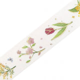 Masking Tape - IPPAI