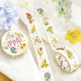 Masking Tape - IPPAI