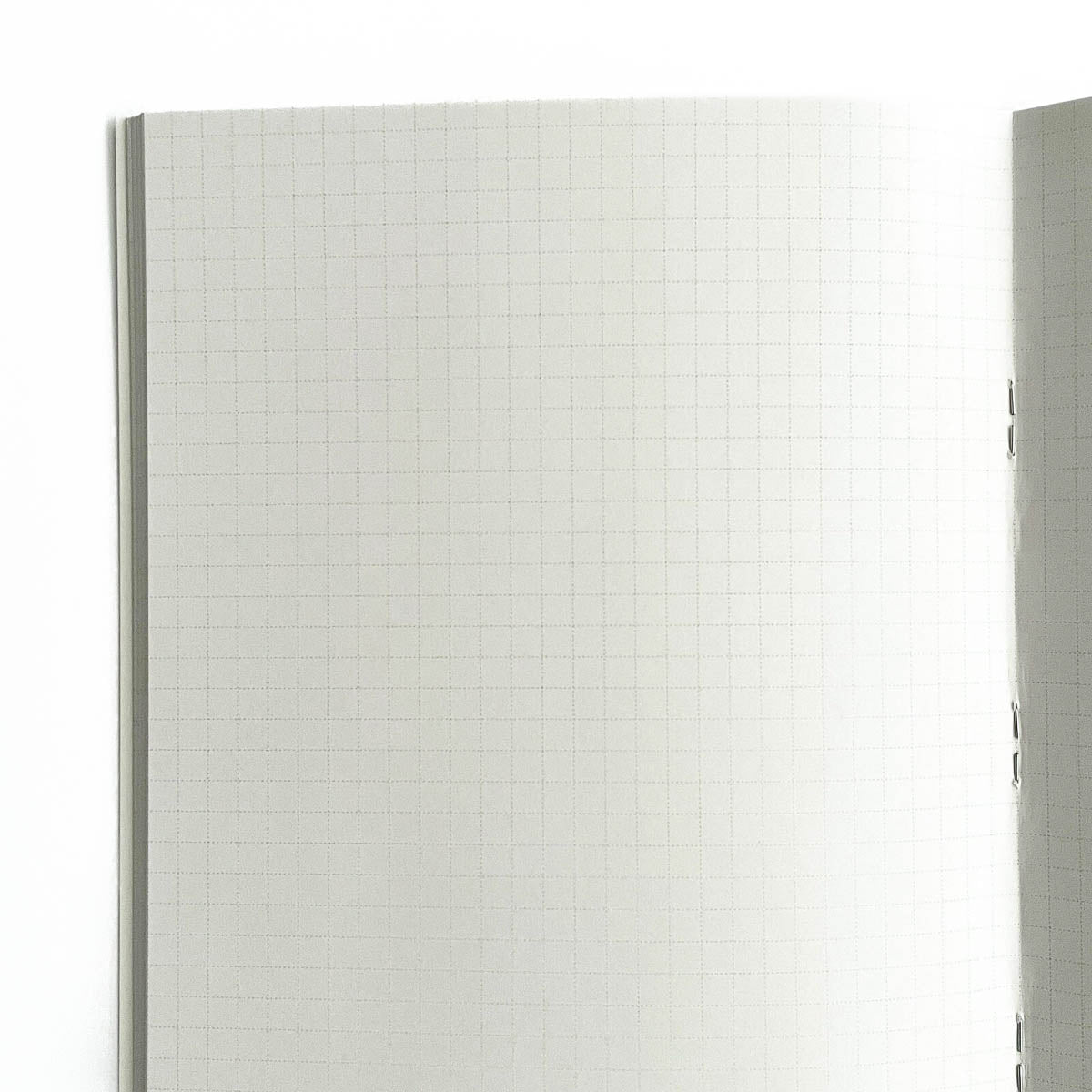 Notizbuch - Miroco Machiko - A5 - Animals