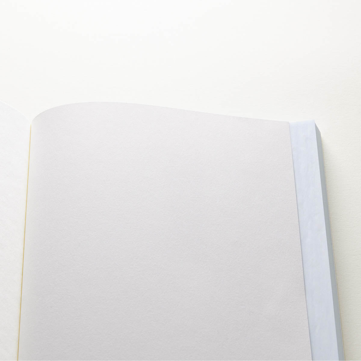 Notizbuch - Takeo Paper - Dressco - KateJo - Onion Skin - Large