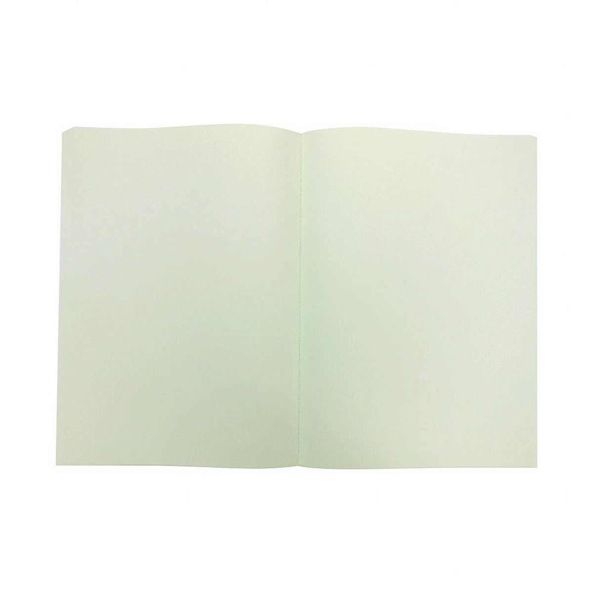 Notizbuch - Ehime Paper Factory - Pale Green Paper Notebook