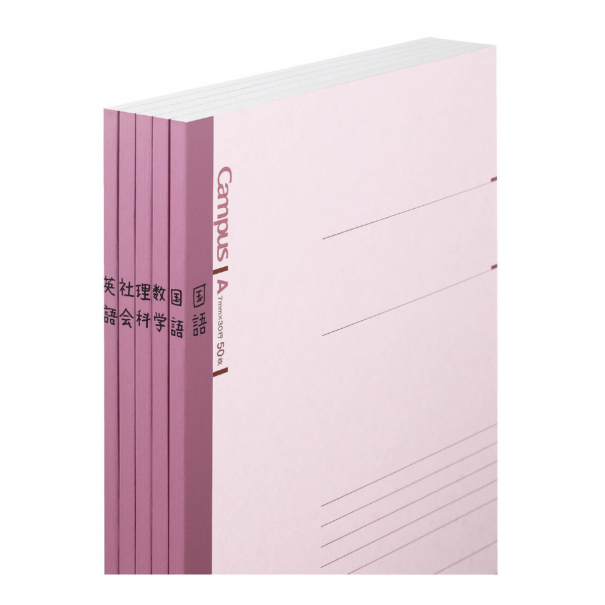 Notizbuch - Campus - B5 - Liniert - Typ B 6mm