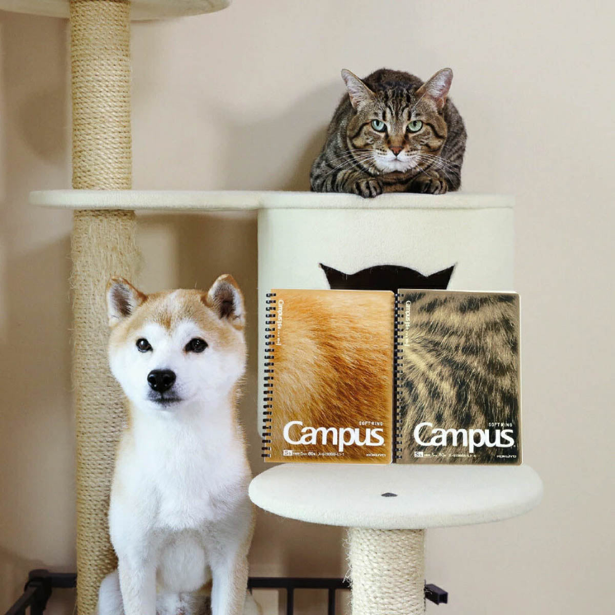 Notizbuch - Canvas Paw - Soft Ring - Limited