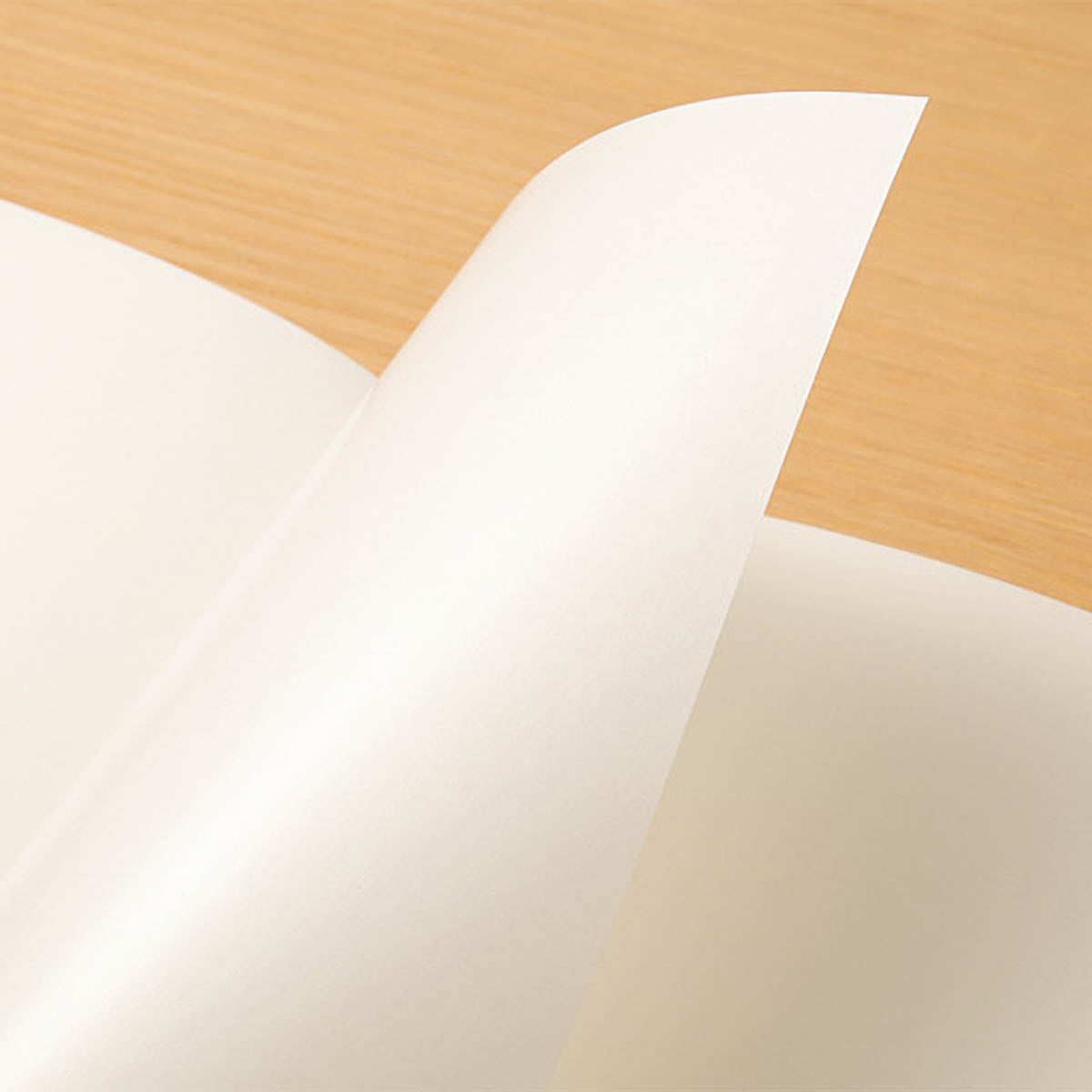 Notizbuch - TRAVELER'S notebook - Regular Size - Notebook